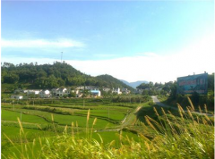 �h���a�I�S��C���� ������h�eŬ�����o���B�h��