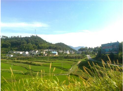 �h���a�I�S��C���� ������h�eŬ�����o���B�h��