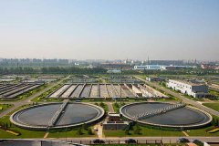 �麣�ж��T�^(q��)�ڳ�ˮ�w���γ�Ч���@