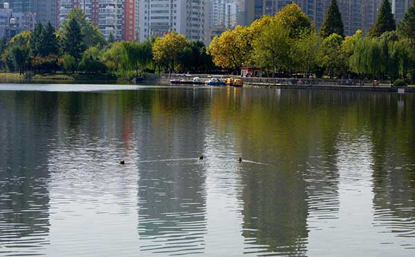 湖水凈化 湖水凈化