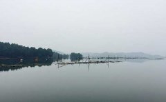 �潭ˮ��Ⱦ�F��潭ˮ��Ⱦ��Ƭ