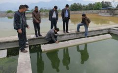 廣東省5家工廠抽查污水排放標準 廣東省5家工廠抽查污水排放標準