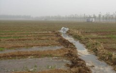 農村污水處理廠可以讓百姓放心澆灌農田 農村污水處理廠可以讓百姓放心澆灌農田