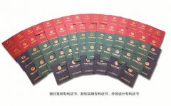 國內水處理技術缺乏具有獨立知識產權的產品 國內水處理技術缺乏具有獨立知識產權的產品