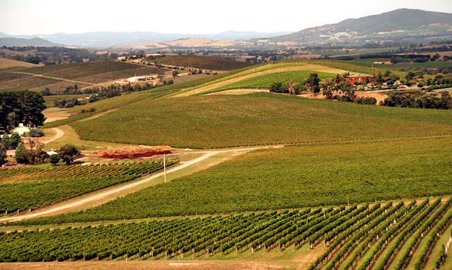 廣袤的澳大利亞鄉(xiāng)村