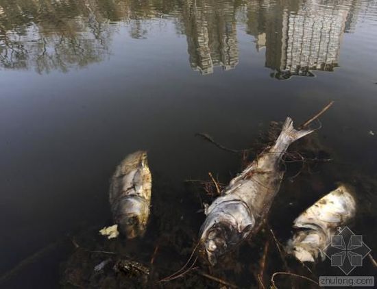 �Ї�ˮ��Ⱦ���}�܇��� �������ο��ׂ�����