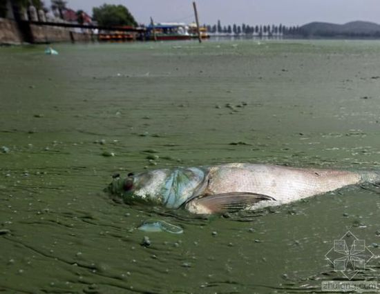 �Ї�ˮ��Ⱦ���}�܇��� �������ο��ׂ�����