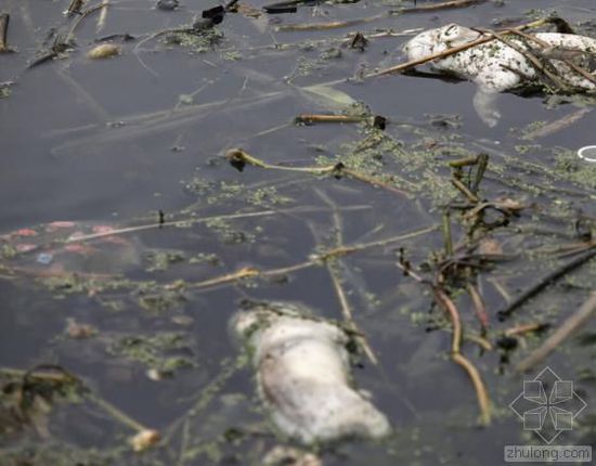 �Ї�ˮ��Ⱦ���}�܇��� �������ο��ׂ�����