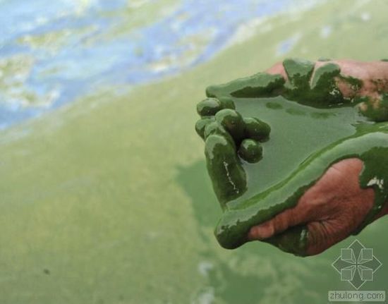 �Ї�ˮ��Ⱦ���}�܇��� �������ο��ׂ�����