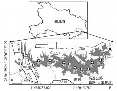 ���Ѓ�ꑺ���ˮ�w�ؽ�����Ⱦ��������